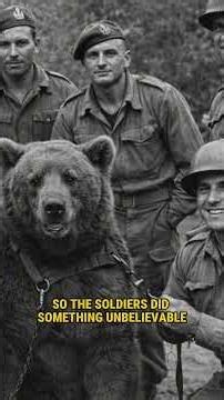 The Army Promoted a Bear to Corporal During WWII