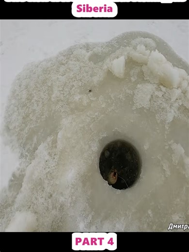 Fishing Adventures in Siberia: Catching Greedy Fish