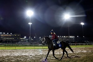 Kentucky Derby 2025 odds and picks: Betting lines, favorites, expert prediction, post positions