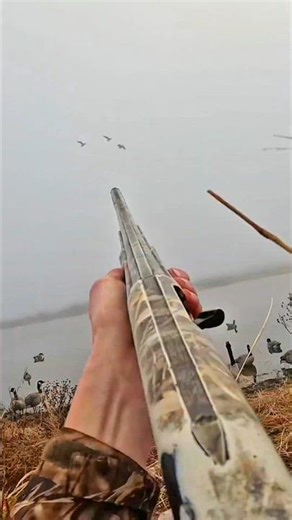 Geese Hunting 🪿 #geesehunting #goosehunting #hunting #video #shorts