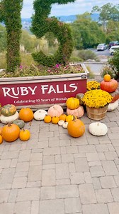 2.8K views · 33 reactions | It’s finally October and we are embracing the autumn vibes at Ruby Falls!  | Ruby Falls | Facebook