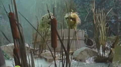 Sesame Street Alone in a Swamp