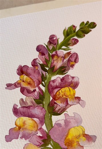 Captivating Watercolor Snapdragon Flower Painting