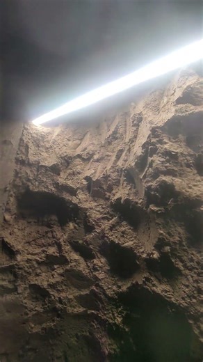 Day 1: Digging an Underground Cellar by Hand #cellar