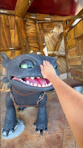 MEETING TOOTHLESS in Universal Epic Universe