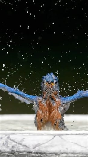 Early conservationists protected forested lands to conserve New York City’s water supply. Today, this complex water system is comprised of aqueducts, distribution pipes, reservoirs and water tunnels that deliver drinking water to residents and visitors. Every drop counts! Let’s use water wisely and protect this precious resource for future generations. #WorldWaterDay #waterconservation | The Nature Conservancy in New York