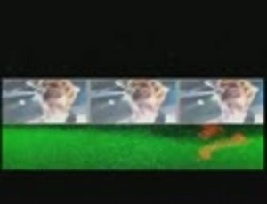 Fly High - Mad Capsule Markets - 020120