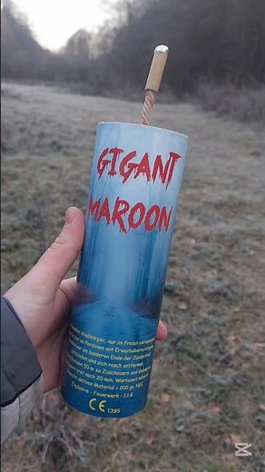 Gigant maroon 🤩 200g 💣