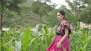 Young Hispanic woman with traditional Mexican dress walking trough the maize at day. Mexico concept. Traditional. 16 de septiembre. Independence of Mexico. Beautiful clothes. Latina Girl on corn field