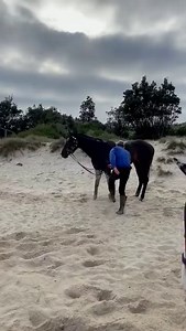 11K views · 51 reactions | Live vision from inside the jockeys area, as connections continue to watch the vision. | Racing.com | Facebook