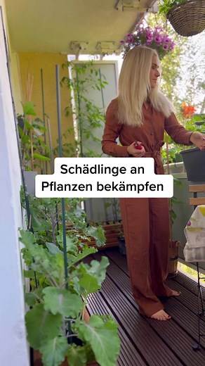 Mit diesen Schädlingen hatte ich in meinem letzten Gartenjahr zu kämpfen 🐛 #schädlinge #schädlingsbekämpfung #garden #gardening #gardentok #gemüseanbau #raupen #blattläuse #aphids #engerlinge #mehltau #balconygarden #beginnergardener #gärtner #food #pflanzen #pflanzentiktok #plants #plantsoftiktok #designablehome