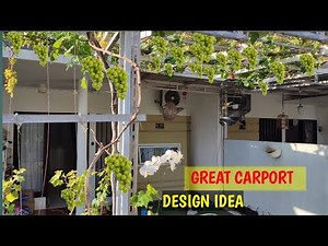 Home Garden Idea with Grapes