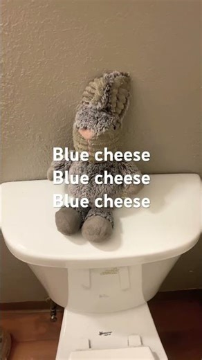 Anaconda song #funny