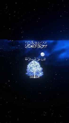 سورة الأنعام|11-13|القارئ:#محمد_اللحيدان #قران #quran #قران_كريم #تلاوة#تلاوة_هادئة #آية#تلاوة_خاشعة