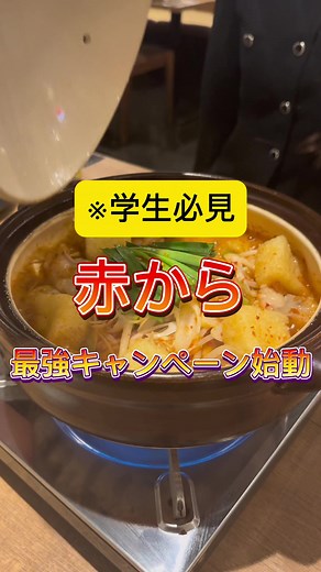 学生必見の赤からキャンペーン情報🔥