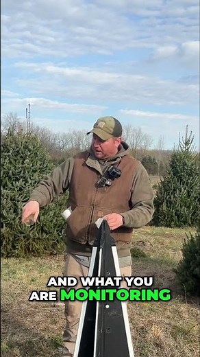 Stop White Pine Weevils: The Ultimate Trap! #shorts