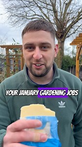Which garden job are you doing first this year? 🤔 Here’s some gardening jobs you can do now in January 💚 This weekend I’m finishing my bulb planting for definite! But the first for me was washing the bird feeders 😇 A really important job! I need to decide where to put my @therosepressgarden garden climbing rose, I faked the planting bit of the bare root rose 😅 I kind of want it near the house 🤔 Happy gardening! #gardening #mygardenthismonth #january #garden #gardener | Green Fingered City B
