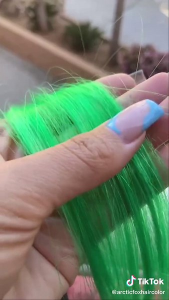 Arctic Fox on TikTok