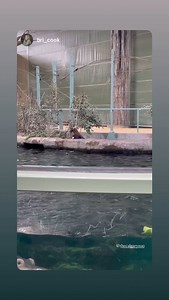 The Calgary Zoo on Reels