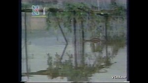 1992年CCTV新闻片段