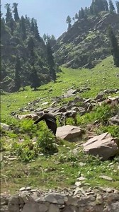 If You’re Feeling Burnt Out, Watch This for 1 Minute.