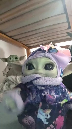 TikTok · Raising BabyYoda
