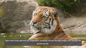 10 Famous Tigers in Modern Pop Culture