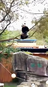 27K views · 968 reactions | Awesome | Beauty Of Nature | Facebook