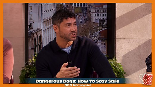 4.4K views · 45 reactions | Recent headlines about dangerous dogs...