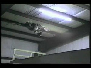 Paul Wisniewski-A Reason for Living (1990)