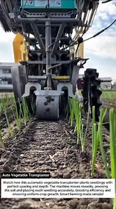 Auto Vegetable Transplanter – Precision Farming Machine!