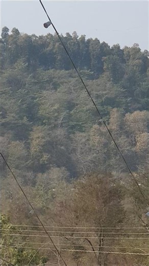 Beautiful Nature View🌄 |Peaceful & Relaxing Scenery 2026#4k