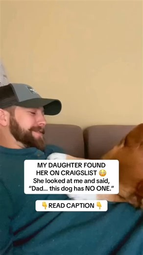 MY DAUGHTER FOUND HER ON CRAIGSLIST 😳 She looked at me and said, “Dad… this dog has NO ONE.” So we brought her home. We thought we were just giving her a safe place to land… We had NO IDEA what she’d been through 😞 She was COMPLETELY SHUT DOWN. No eye contact. No tail wags. Just shaking in the corner. Like she had NEVER known love 🥺 She was WEAK… barely moved. We assumed it was trauma — But then the vet gave us a SHOCK: “She’s PREGNANT.” 😳 It was TOO LATE. She needed EMERGENCY SURGERY to sur