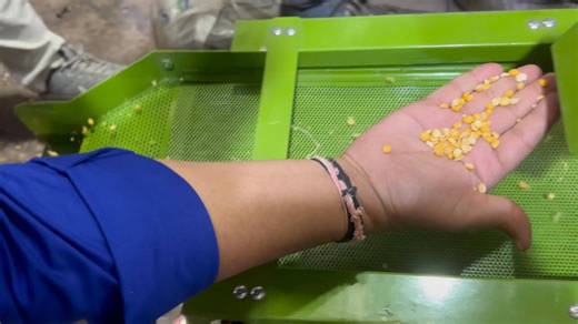 Chana dal making machine | Punjab engineering Indore 8962826650 | Punjab Engineering Corporation