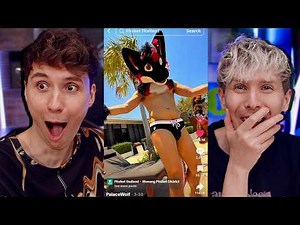 Forcing Dan to watch TikToks until we share one braincell