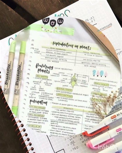 Aesthetic notes ideas pintrest 🎀 aesthetic notes #aesthetic#notes#pintrest#ideas#viral#trending#shor