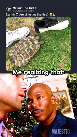 #faithoverfear 🐢