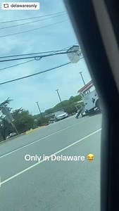 61K views · 449 reactions | #REPOST @delawareonly with...