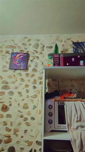 #CapCut quand tu es le docteur et que chaque objet te fait penser à un dalek 🤣#doctorwho #dalek #doctofrench2