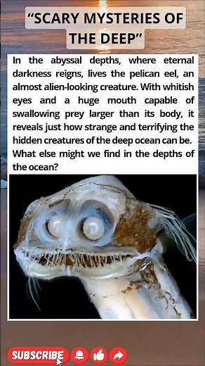 Alien Jaws of the Deep Ocean