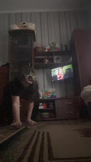 Exploring the World of Quadrupedal Movement