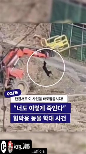 엣지하우스💕타꾸 on Instagram: "구속시켜라! #리그램 - @kong_2486 by @get_regrammer 제발 이슈화되게 공유들좀해주세요. 너무잔인합니다!!!! ㅜㅜ 살인마에요..강력한처벌되어야해요 #리그램 - @care_korea_official by @get_regrammer 💢협박용 퍼포먼스로 자기 개를 죽였다!💢 - " 너도 내 개처럼 죽일 수 있어❗️" 자신의 개를 트랙터로 끌고와 아웃집 앞에서 목매달아 죽인 사건- 탄원서 참여 요청 | 용인 처인구 트랙터 동물학대·사람 폭행 사건 🚨 서명▶️프로필 링크 클릭 2025년 4월, 용인 처인구에서 차마 믿기 어려운 일이 벌어졌습니다. 한 남성이 자신의 개를 트랙터에 매달아 이웃의 집 앞으로 끌고 와 장시간 고통 속에 매달린 채 죽음에 이르게 했습니다. 개는 끝까지 몸부림쳤지만, 너무 높은 위치에 매달려 있어 아무도 손을 쓸 수 없었습니다. 도움을 주려던 제보