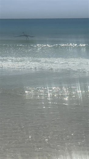 19K views · 430 reactions | Fun in the sun celebrating my mom’s 80(something) birthday! Now, back to early morning alarm clocks! Thank you Mo Rose WLKY and Matt Milosevich WLKY for filling in 勺 | Susanne Horgan WLKY | Facebook