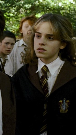 Hermione Granger: 'I'm Not An Owl!' - Iconic Harry Potter Scene