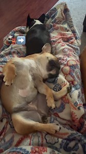 2.4K views · 825 reactions | The  sure can snore. (How can such a little girl make such noise)? Seriously some nights Momma wears ear plugs. | Gabby Girl & Princess Willow | Facebook