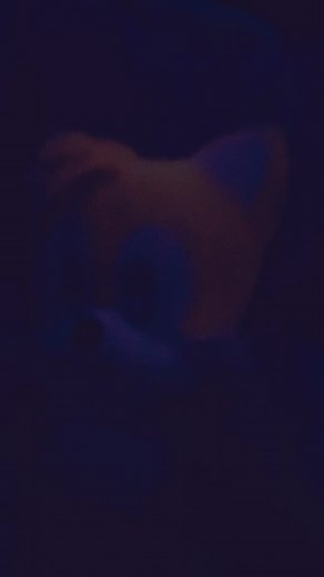 Tailsthefox&Sonicthehedghog on TikTok