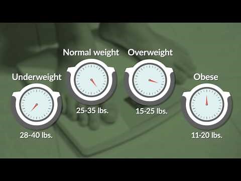 Pregnancy Weight Gain | WebMD