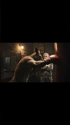 Epic Kangaroo Punches! 🦘🥊