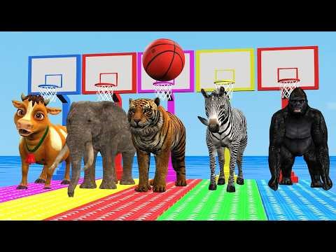 Long Slide Game with Cow Tiger Elephant Gorilla Horse - Funny Animals || Boss Animals 3D