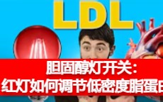 💥胆固醇灯开关：红灯如何调节低密度脂蛋白 The Cholesterol Light Switch How Red Light Regulates LDL